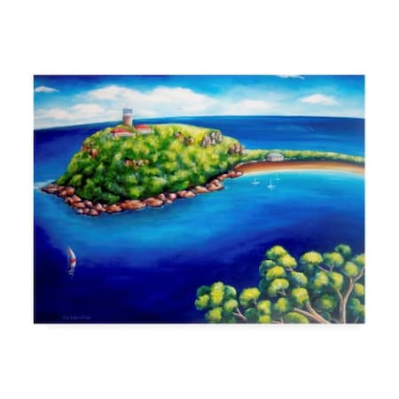 Deborah Broughton 'Tourist Barrenjoey' Canvas Art,18x24